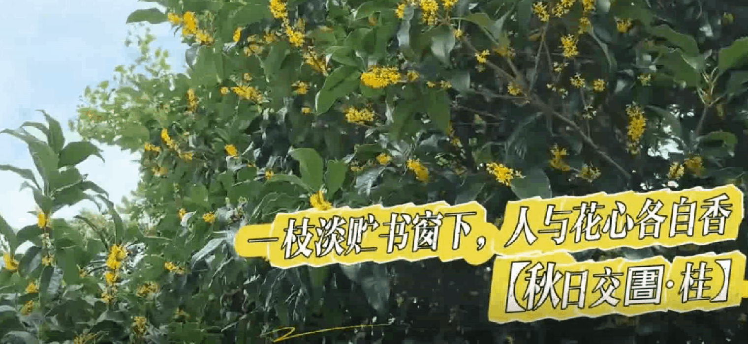 一枝淡貯書窗下，人與花心各自香